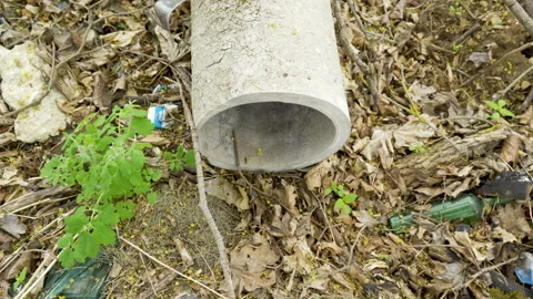 A big concrete pipe on the forest ground Stock Footage 137359638