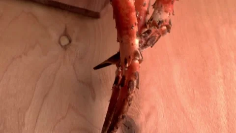 Big crab claws on table. HD Stock Footage 141744279