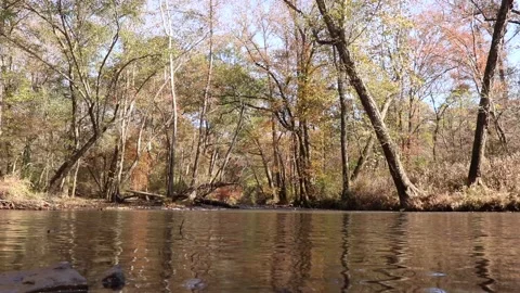 Big Creek Level Stock Footage 168501569