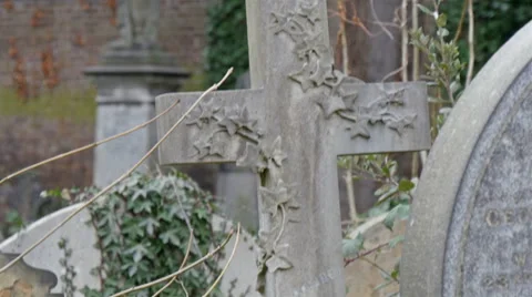 Big cross tombstone with vines on it Stock Footage 48729667