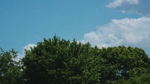 Big cumulus cloud moving in blue sky Copy space Stock-Footage 334411839