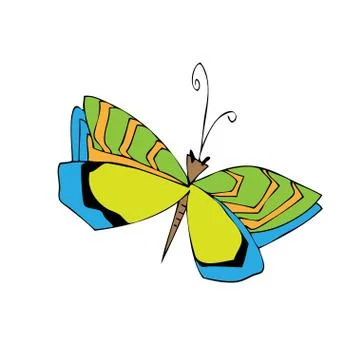 Big cute fly hexapod bug isolated on white backdrop. Stock Illustration