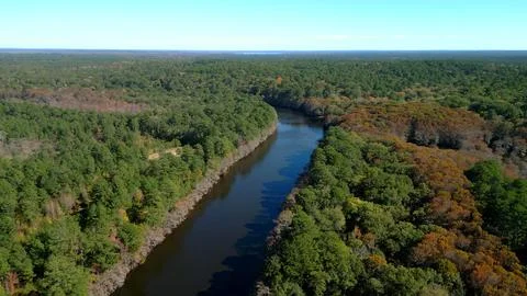 Big Cypress Bayou River at Caddo Lake State Park Stock Photos