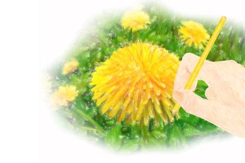 Big dandelion 스톡 일러스트