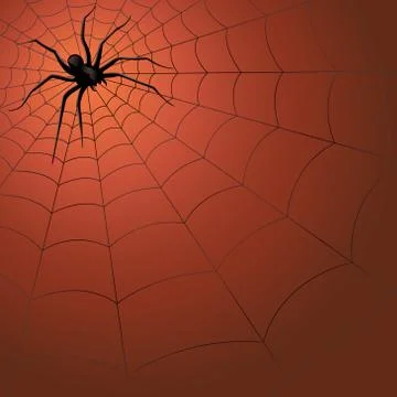 Big dark spider on the web Illustrazione stock
