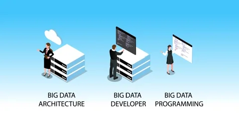 Big Data Concept with Architecture, Developer, and Programming Professional.. Stock Footage 327343359