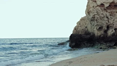 Big dead coral reef is on sandy beach by the sea in reserve of Ras Mohammed Stock-Footage 296228753