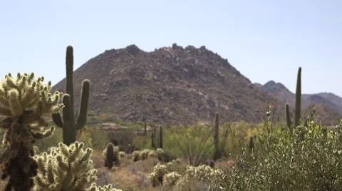A Big Desert Hill Stock Footage 49774758