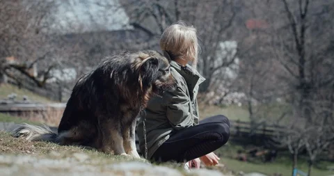 A big dog asking for cuddles with its cute paw Video stock 129399265
