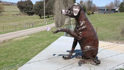 The Big Dog Stock-Footage 249529675