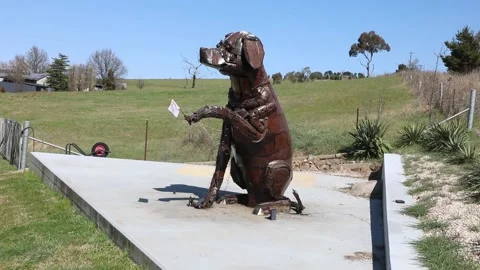 The Big Dog Stock-Footage 249529679