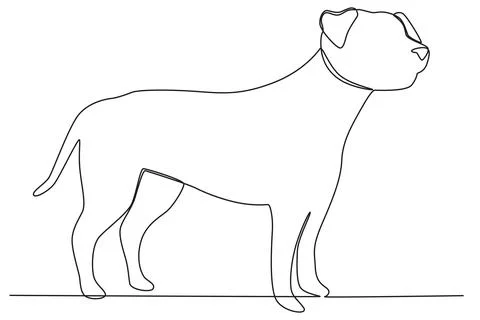 A big dog with a long tail Stock Illustration