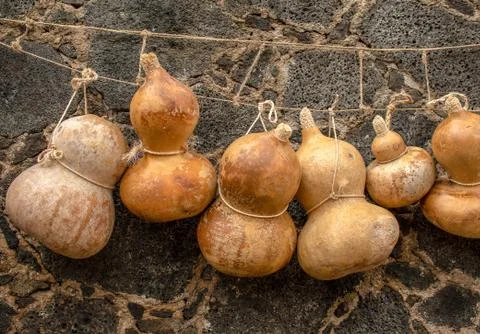 Big dried seed container typical traditional mexican 库存照片