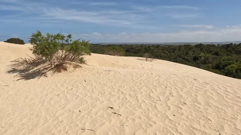 Big Drift Sand Dunes at Wilsons Promontory National Park, Victoria, Australia Stock Footage 312065002