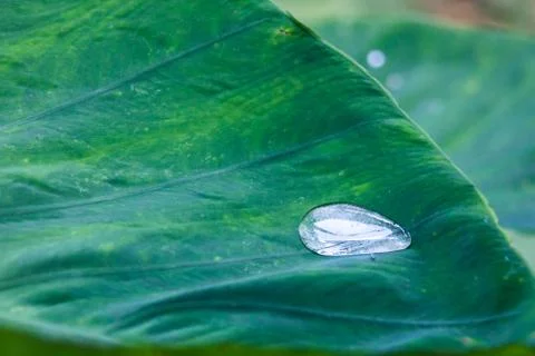 Big drop of water Stock Photos