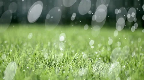 Big drops of rain fall on garden in slow motion 4K Stock Footage 49780112