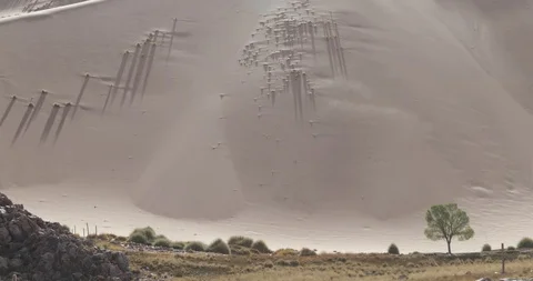 Big dune with wind blowing sand over surface, green oasis, tree and grasses 스톡 동영상 103498647