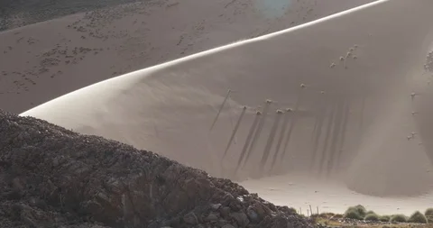 Big dune with wind blowing sand over surface, green oasis, tree and grasses 스톡 동영상 103498714