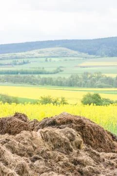 Big dunghill Stock Photos