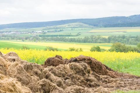 Big dunghill Stock Photos