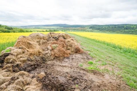 Big dunghill Stock Photos