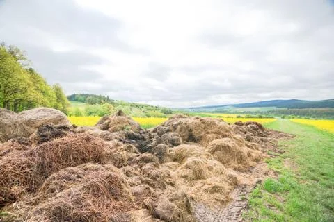 Big dunghill Stock Photos