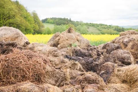 Big dunghill Foto stock