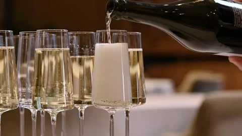 Big event and alcoholic drinks Stock Footage 261279953