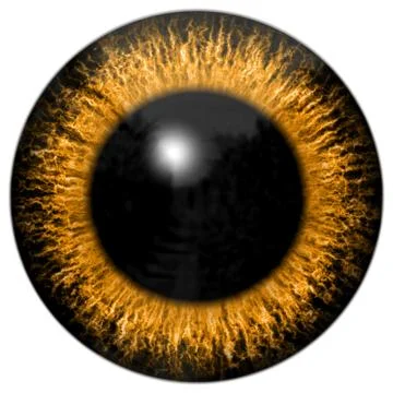 Big eye generated on white background Stock Illustration