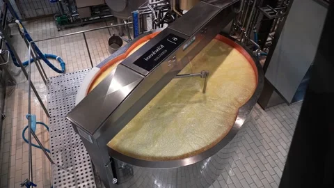 Big Factory For Making Cheese. Producing Dairy Cheesemaking Industry Stock Footage 197539680