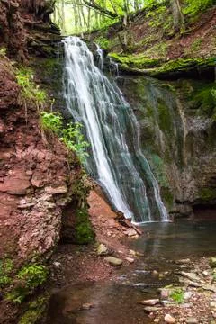 Big fall in forest Stock Photos