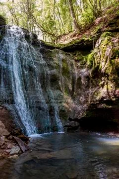 Big fall in forest Stock Photos