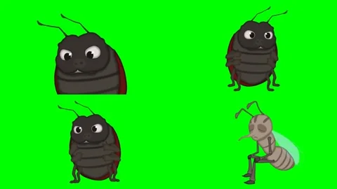 Big fat black bugs and small walking ants with happy smiling face animations Stock Footage 334702761