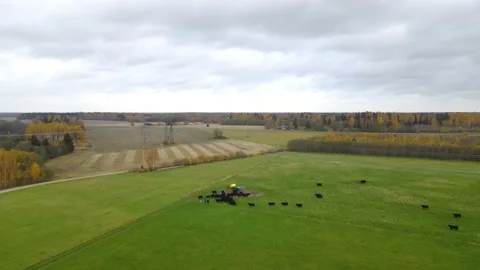 Big field  Stock Footage 169341323