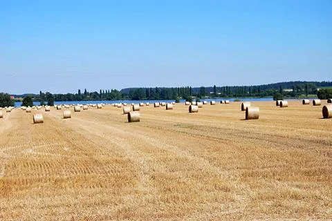 Big field Stockfoto's