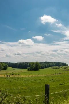 Big fields and green meadows with forest in the background Stock Photos