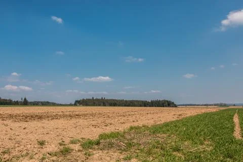 Big fields in the middle of the german countryside with hills, forests and me Stock Photos