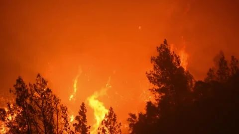 Big Fire 1 Stock Footage 296364117