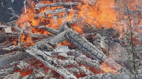 Big fire and smoke from the fire, vertical panorama. Stock Footage 96216285
