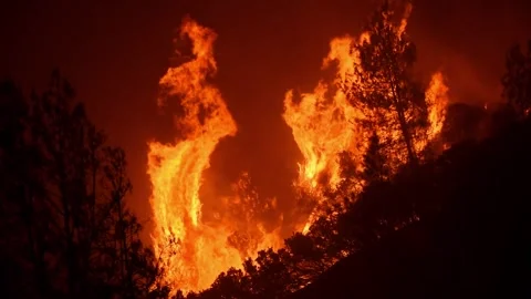 Big Fire Blazing 1 Stock Footage 296364115