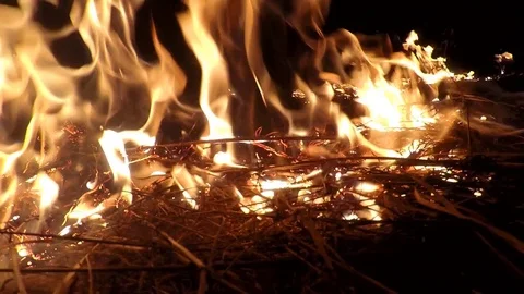 Big fire. Burning flame dry field fire Stock Footage 73747406