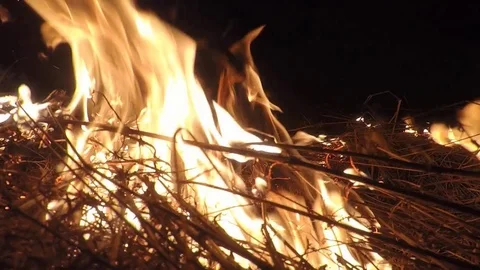 Big fire. Burning flame dry field fire Stock Footage 73747796