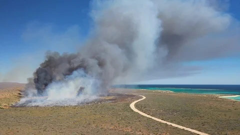 Big fire at the coast Stock Footage 121842583