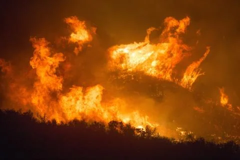 Big fire on the dark background - Image Stock Photos