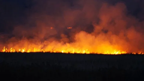 Big fire on the field Stock Footage 72114102