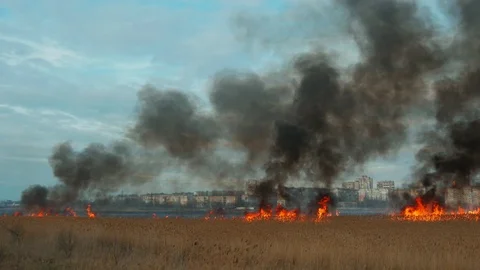 Big fire in the field. Red flame and thick smoke in the sky. Natural disaster in 库存影片 107001546