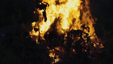 A big fire, firewood and garbage are burning. There was a fire at night Stock Footage 250028192