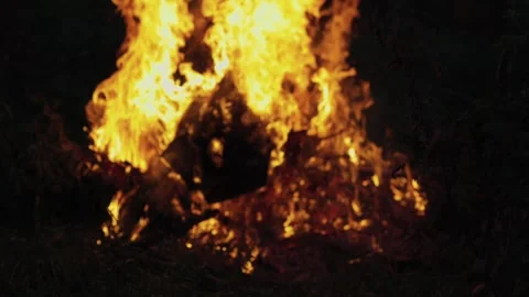 A big fire, firewood and garbage are burning. There was a fire at night Stock Footage 250028218