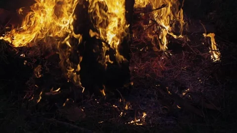A big fire, firewood and garbage are burning. There was a fire at night Stock Footage 250028227