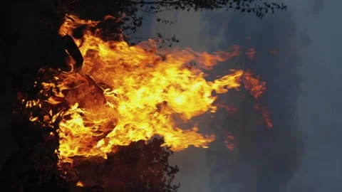 A big fire, firewood and garbage are burning. There was a fire at night Stock Footage 250028258